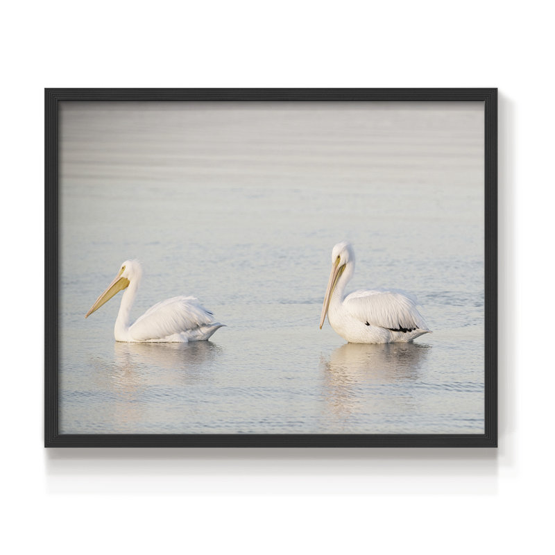 Pelican Pals -Framed Print - Restickable, H 11 po x l 14 po, Noir, noir, noir, noir
