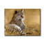 Hautes herbes - reproduction sur toile tendue-1134932478