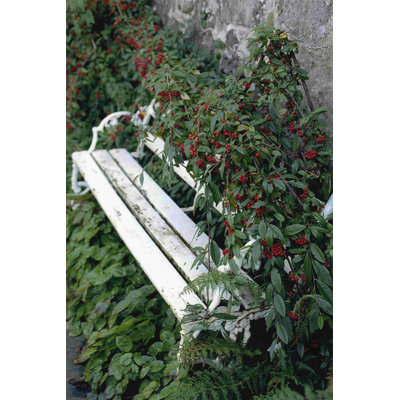Banc blanc