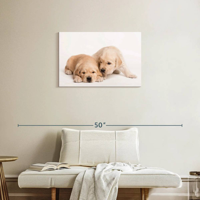 Brampt Golden Retriever de Brampt, H 20 po x l 30 po