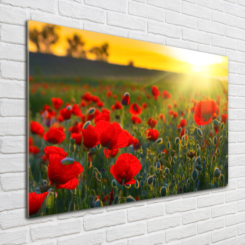 Field Of Poppies - No Frame Print on Glass