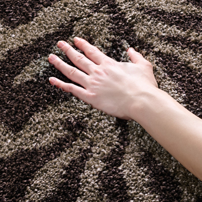 Chanhassen Shag Performance Floral Rug, Rectangle 4' x 6'