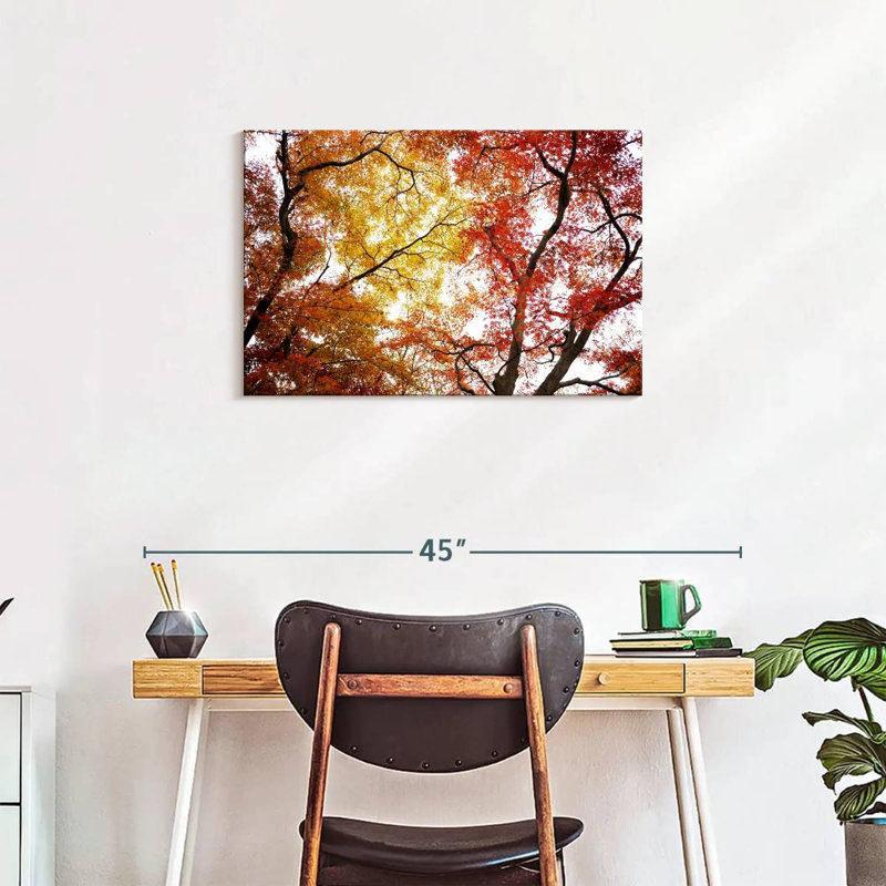 Harnek, feuilles d'automne ensoleillées, H 20 po x l 30 po