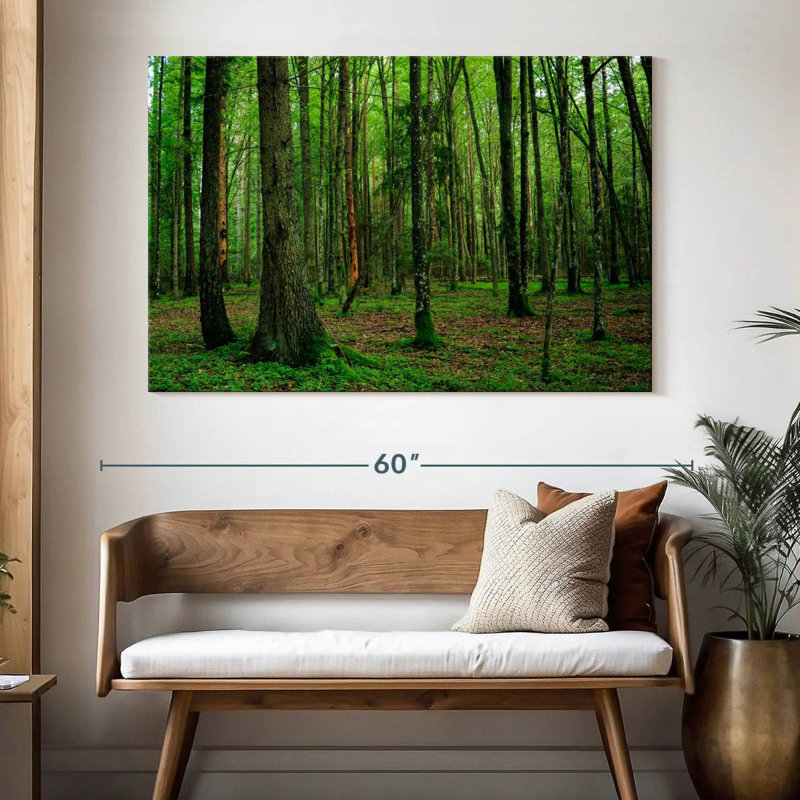 Forêt Alvord Lush Bialowieza, H 34 po x l 51 po