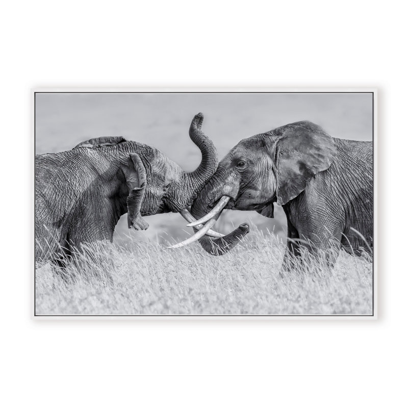 Nature Inspired Elephant Tai Chi by  - Picture Frame Photograph on Paper, 32" H x 48" W x 1.125" D, Black