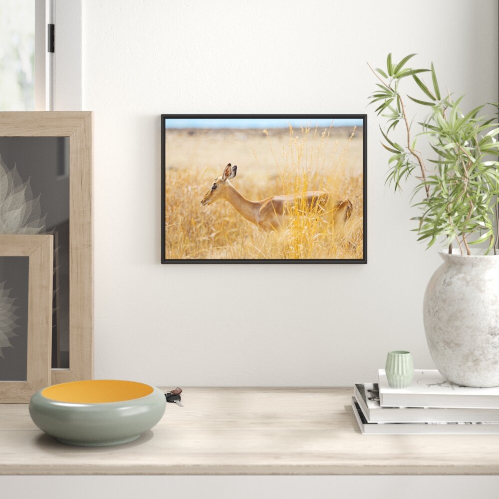 Gerahmtes Wandbild Gazellehohen Gras