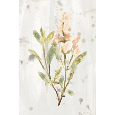 «Antique Earthtone Herbs IV» par June Erica Vess - peinture sur toile tendue