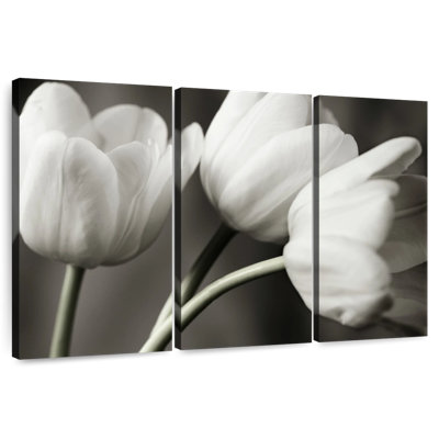 Harnek rangée de tulipes BW