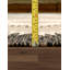 Southwestern Area Rug