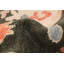 Tapis vert moderne Oushak 8 pi 8 po x 11 pi 11 po