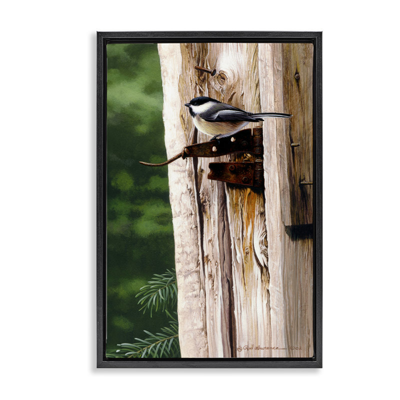 «Bird on Rusty Perch», toile flottante encadrée par Rod Lawrence, H 25 po x l 17 po, Cadre flottant noir de jais