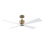 Launceton Downrod Ceiling Fan