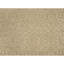 Damask Area Rug in Sand Dollar/Beige-1535843174