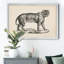Brodtmann Female Tiger - Single Picture Frame Painting on Canvas-1854859609-1854859608