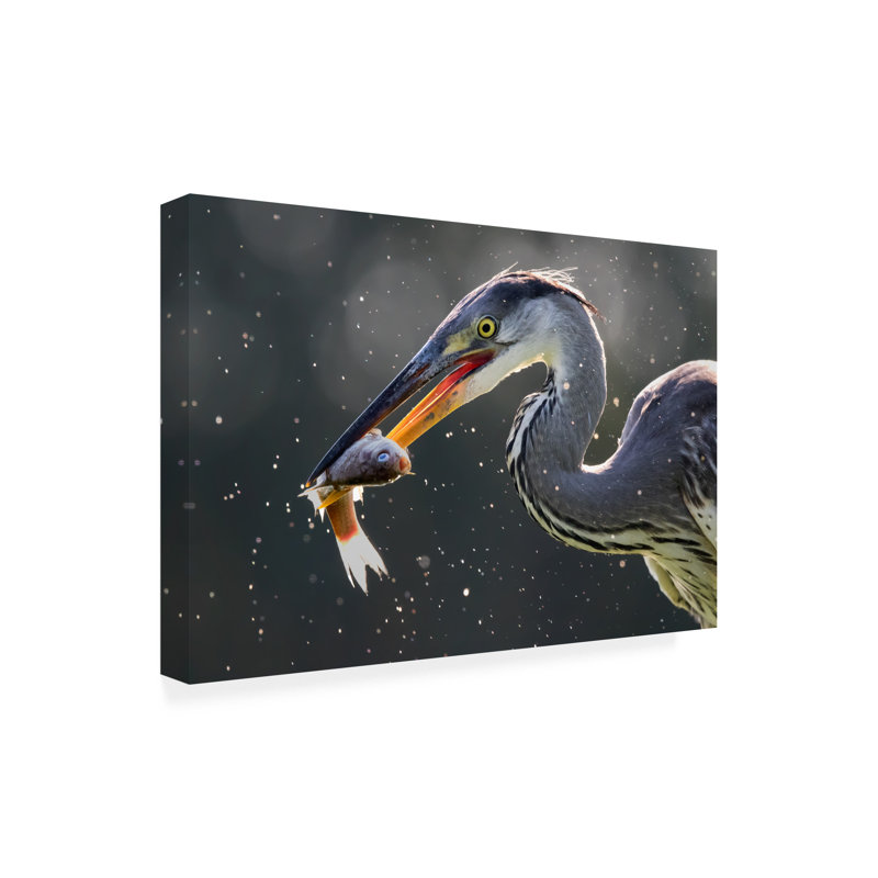 Art sur toile, boléro, héron gris, H 30 po x l 47 po