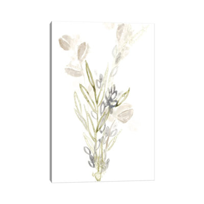 Botanica Whimsy II by June Erica Vess - Wrapped Canvas Gallery-Wrapped Canvas Giclée