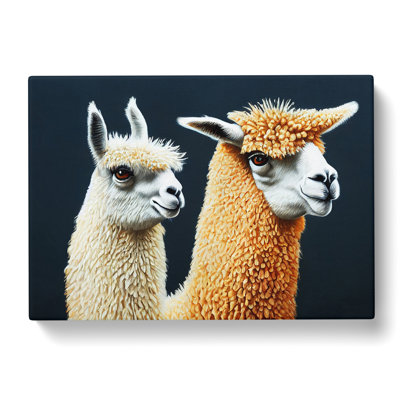 Enthralling Llamas - Wrapped Canvas