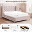 Double (4'6) Standard Bed Frame-584409170