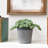 Bowyer Pot Planter