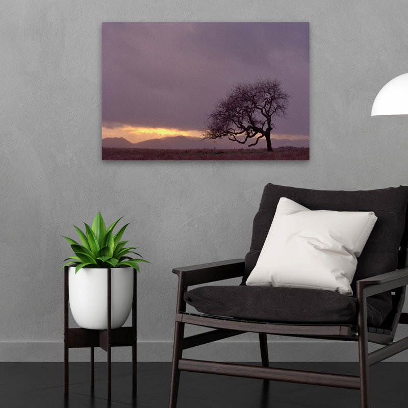 Champ - paysages, arbres, photographie, H 16 po x l 24 po