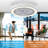 Armelia Ceiling Fan with LED Lights