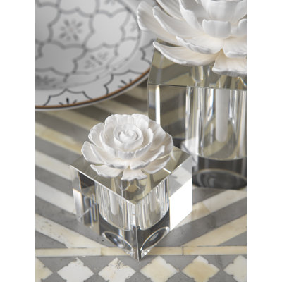 Modena Oils & Scents
