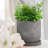 Decorative Line Pattern Planter for Outdoor and Indoor Home Decor - Stylish Cement Flower Pots for Living Room and Patio - 6", Gray & White