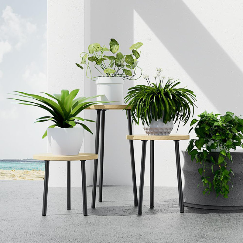 Petit support de table rond pour plantes d'intérieur, support pour plantes d'extérieur pour bureau de salon de patio