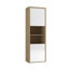 Baelie 2 DOORS CUPBOARD N°03B