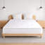 Wayfair Sleep Open Coil Mattress-1355715104