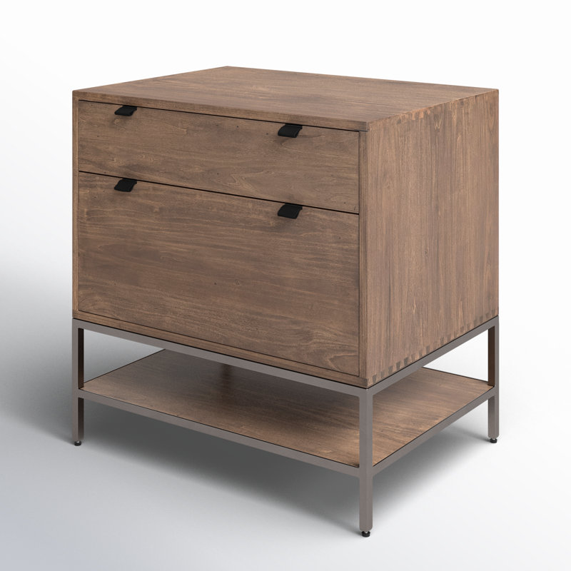 Trey 2 - Drawer Solid Wood File Cabinet, Auburn Poplar