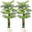 Palmier doré 7 pi (84 po) -1146562357
