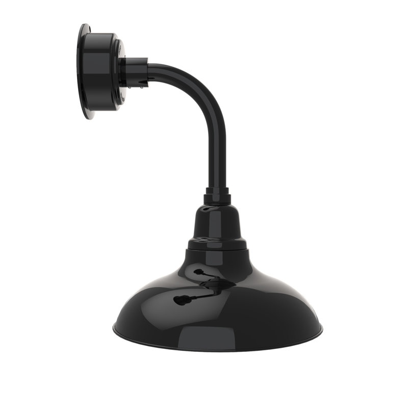 Luminaire de grange à del 1 lumière del Idella, Noir, H 18 po x l 12 po x P 14 po