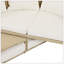 Ensemble de mobilier de patio double d'extérieur avec lit escamotable et 4 coussins-1357315118