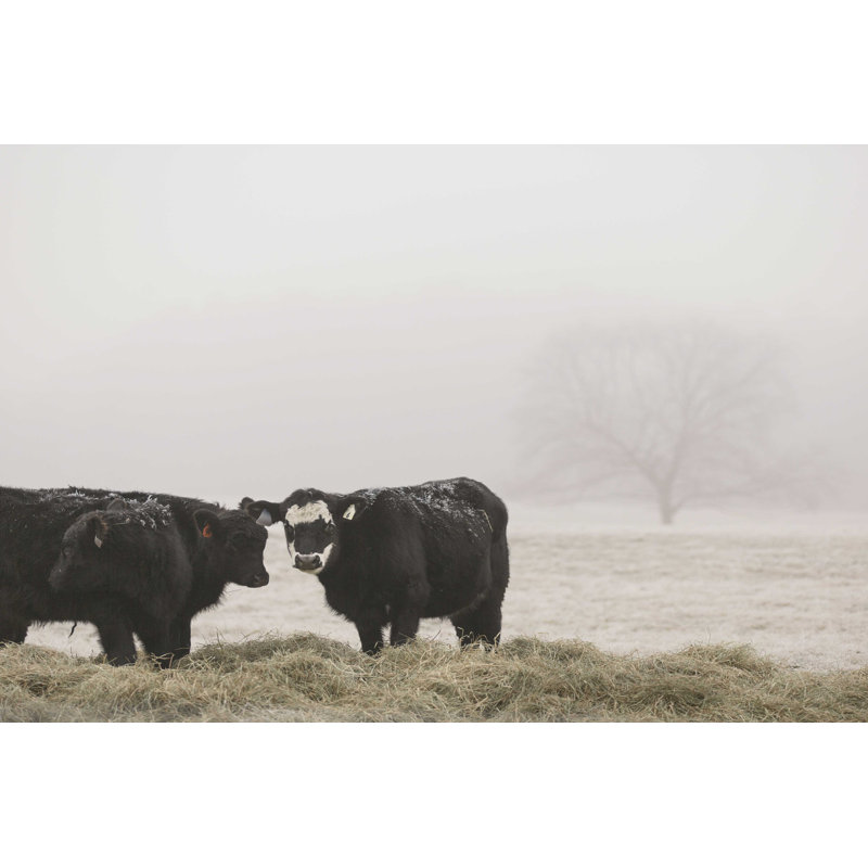 Farm Farm I, H 12 po x l 18 po