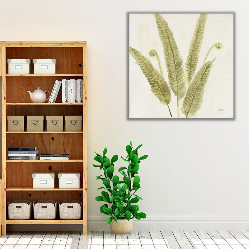 «Forest Ferns II», reproduction d'art sur toile, H 12 po x l 12 po