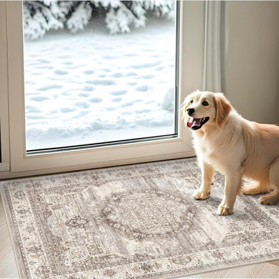 Tapis d'entrée lavable 2 x 3 - Tapis de cuisine neutre Tapis de sol rétro antidérapant pour maison de campagne / salle de bain (2 x 3, beige)