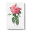 Giant French Rose In Pink by Pierre-Joseph Redoute - Wrapped Canvas-55365978