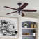 Idris 52'' Ceiling Fan with LED Lights and Remote Included