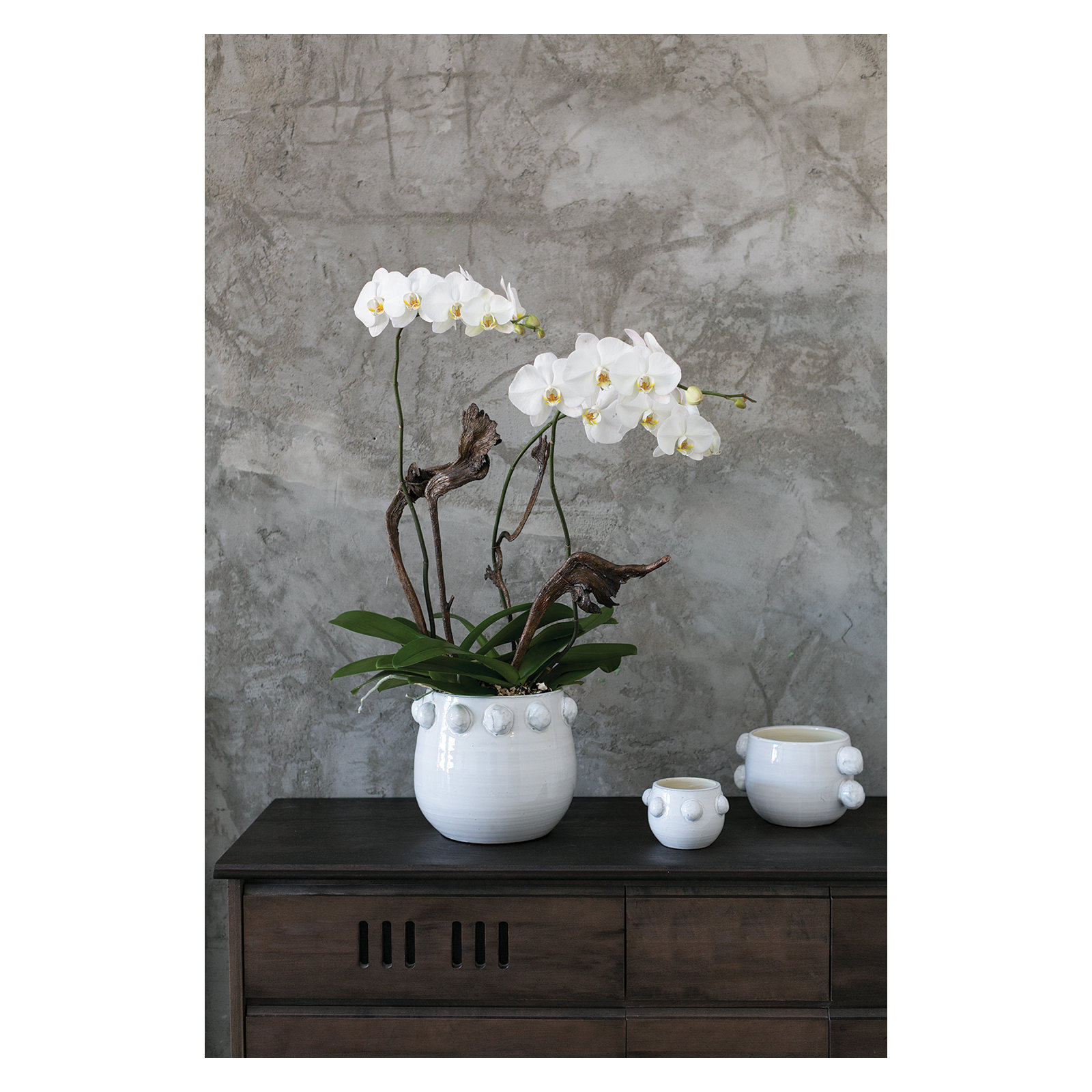 Handmade Ceramic Pot Planter, 3.5" H x 5" W x 5" D