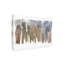 Art sur toile «Bachely Levi» par Bachely Levi-104138877