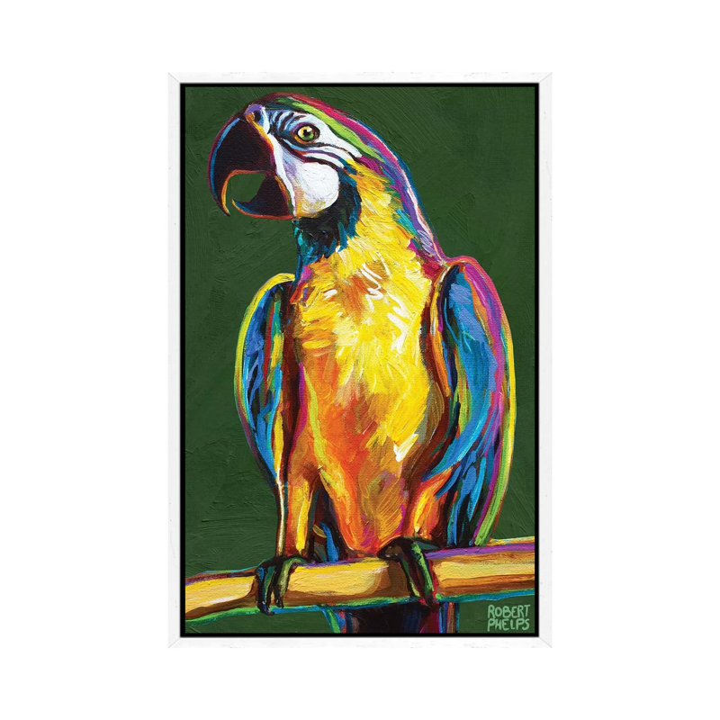 Parrot On Green by Robert Phelps - Gallery-Wrapped Canvas Giclée on Canvas, White Framed, 101.6 cm H x 66.04 cm W