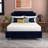 Early Bird Twin 6" Medium Gel Memory Foam Mattress-92440005-111567705