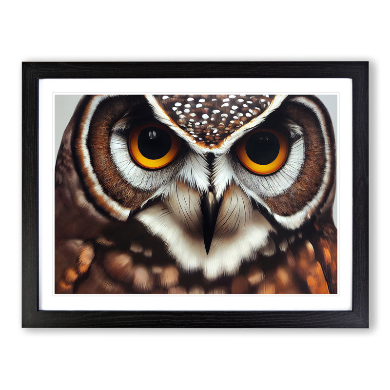 Unimaginable Owl - Framed Print, Black, 34cm H x 46cm W x 2cm D