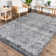 Barajas Oriental Gray Area Rug
