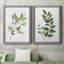 «Winter Botanical I», ensemble de 2 reproductions d'art-521697270-521697228-521697265
