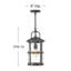 Lakehouse Black 1 -Bulb 17.75" Outdoor Pendant