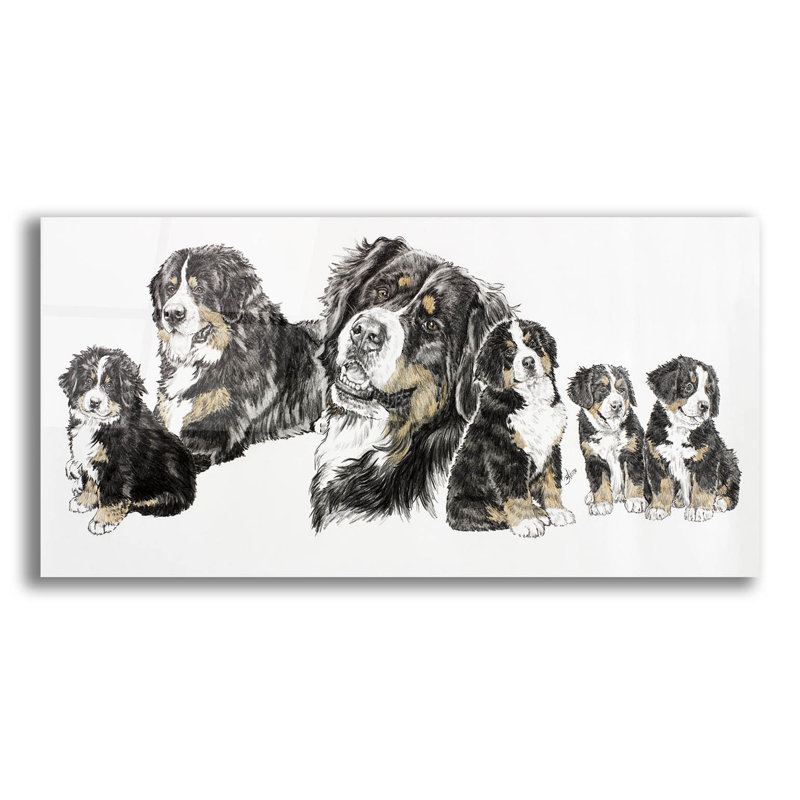 «Bernese Mountain Dog» par Barbara Keith - impression non encadrée, H 12 po x l 24 po x P 0,2 po