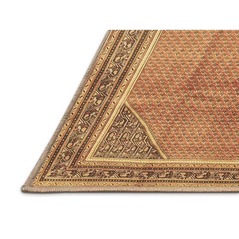 Tapis brun traditionnel Traditional 4491, Rectangle 2 pi x 4 pi