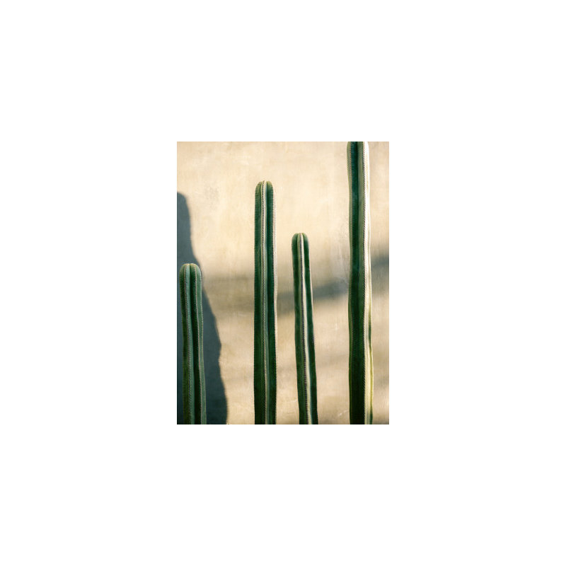 Wrapped Canvas Print, 91.44 cm H x 60.96 cm W